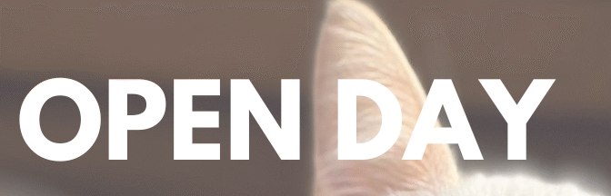 OPENDAY – Outubro