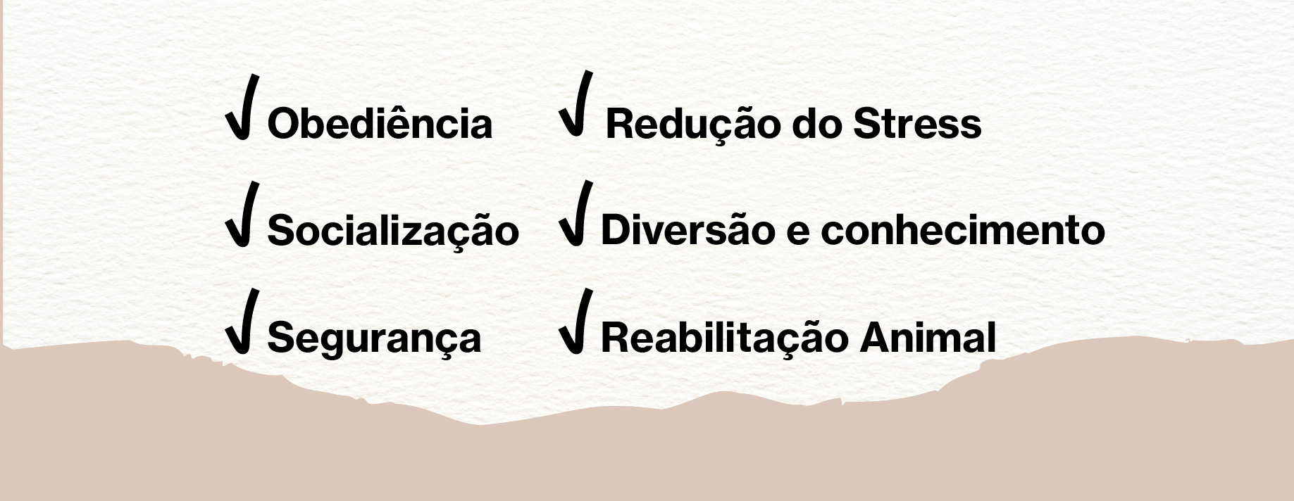 Treino Canino em Outubro – 2 sessões