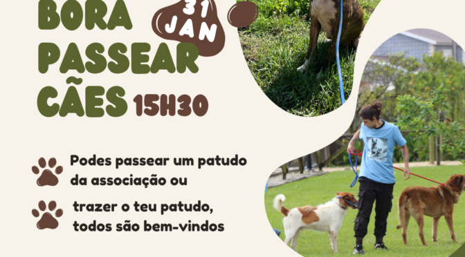 Bora Passear Cães