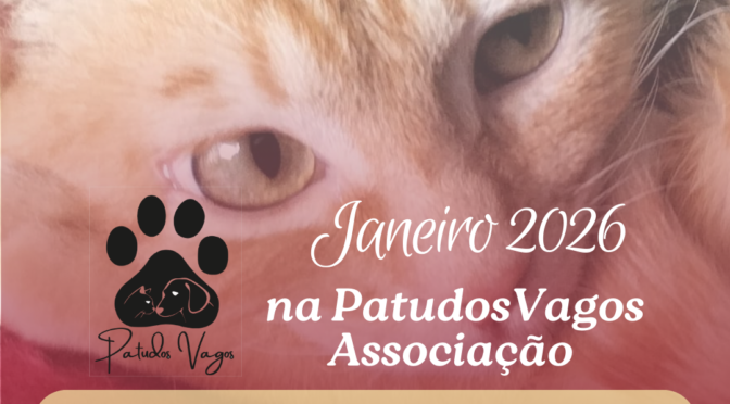 Janeiro 2026 com 70 adoções