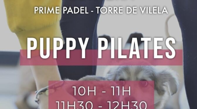 Bring The Mat – Sessões de Puppy Pilates com os nossos meninos