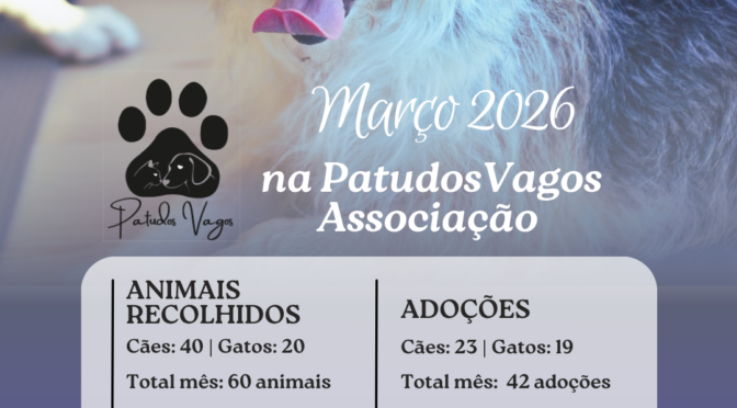 Março 2026