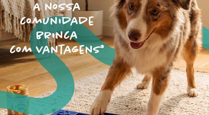 4Life Animal Care parceiros de brincadeiras